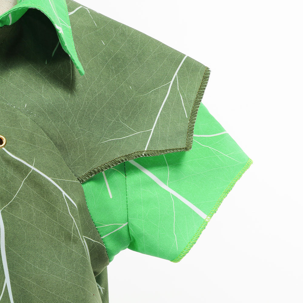 Peter Pan Costume.