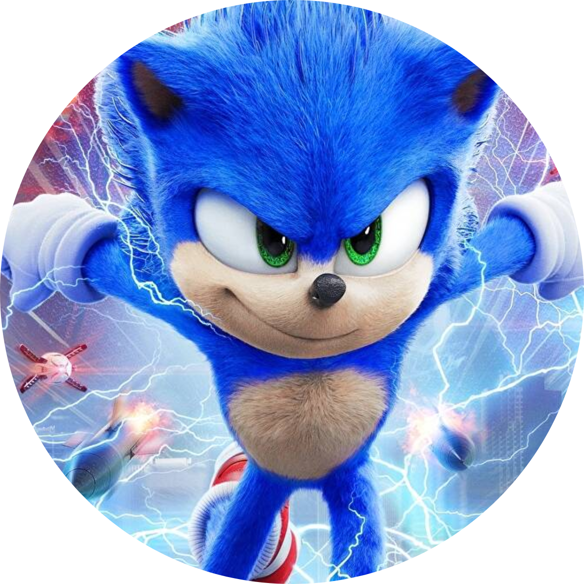 Sonic The Hedgehog