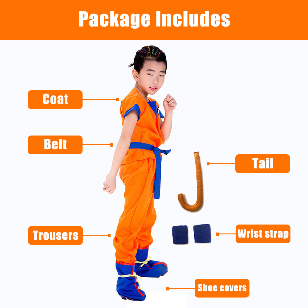Dragon Ball Costume.