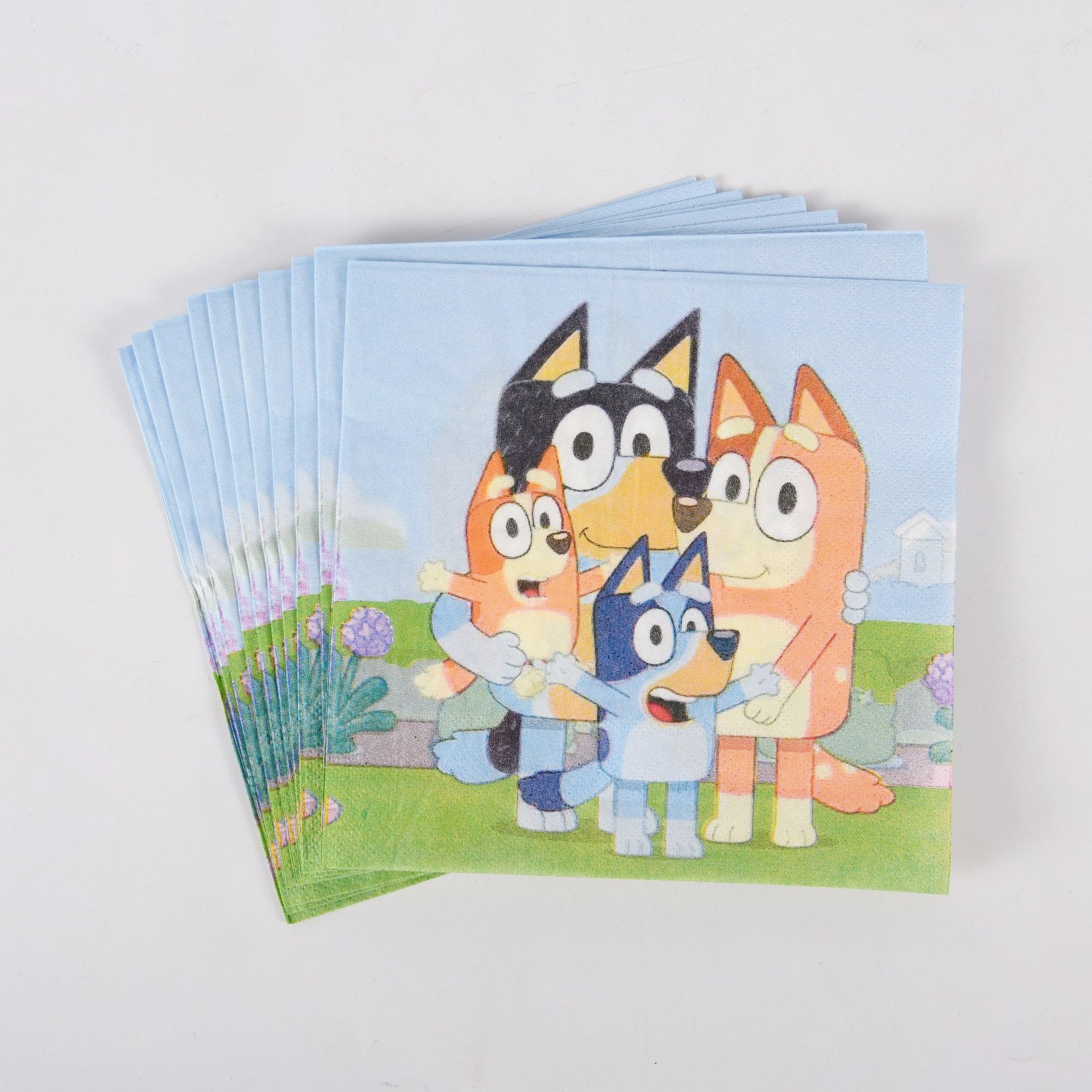 Bluey Birthday Party Supplies.