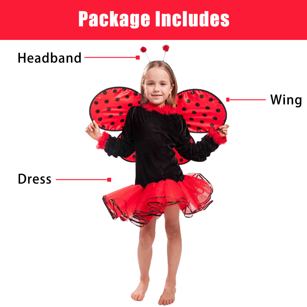 Ladybug Costume.