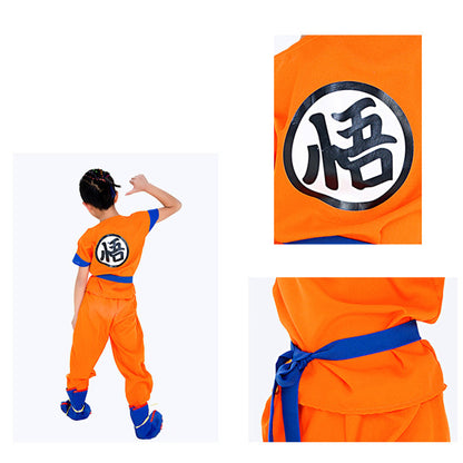 Dragon Ball Costume.