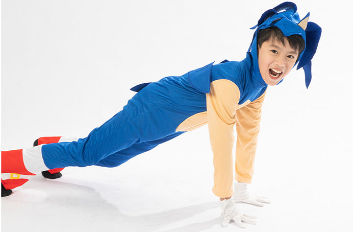 Sonic the Hedgehog Costume.