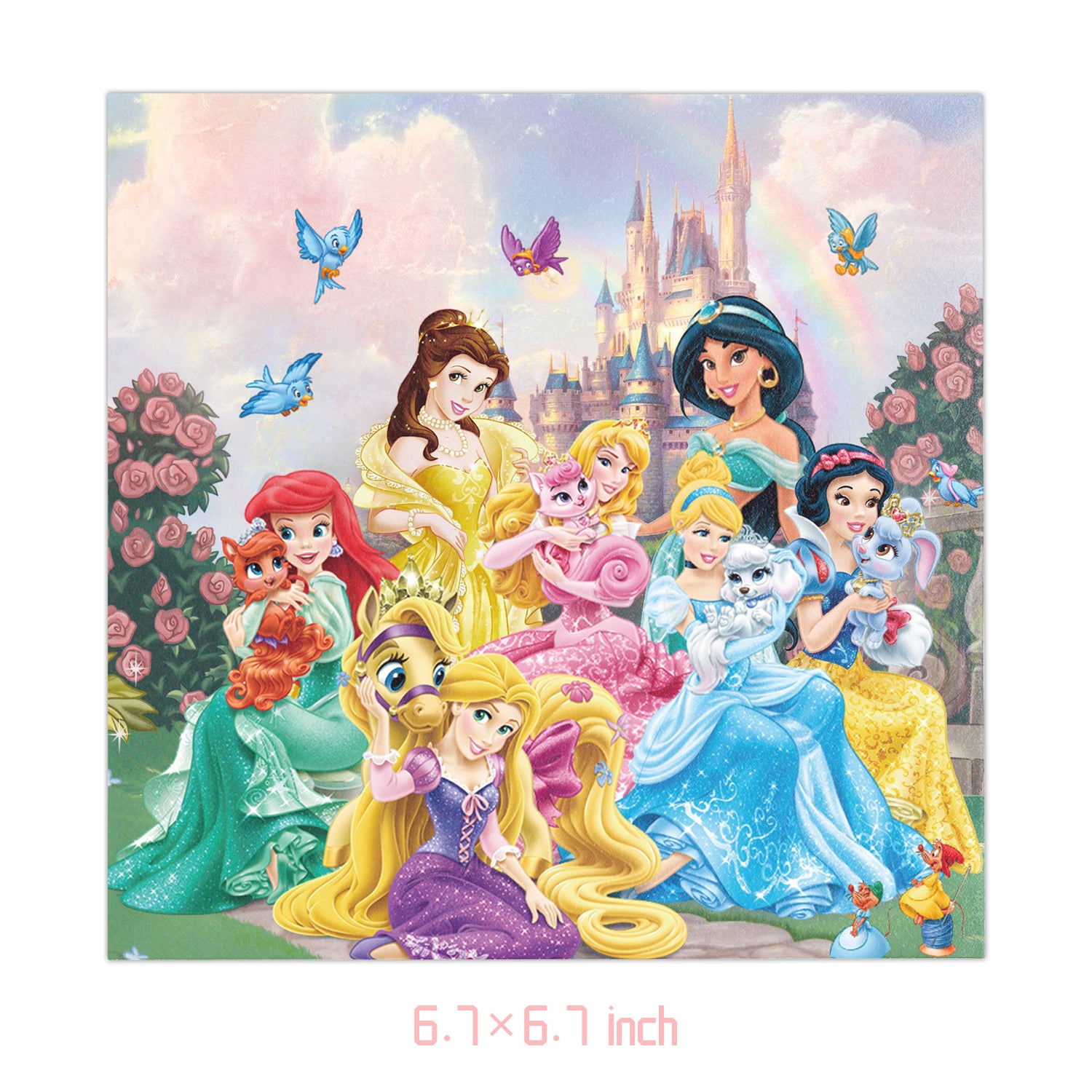Disney Princess Birthday Party Supplies.