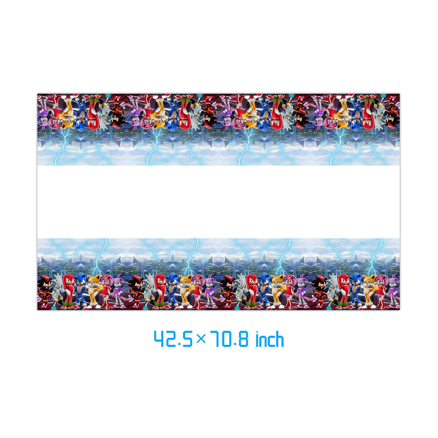 Sonic The Hedgehog Birthday Party Supplies.