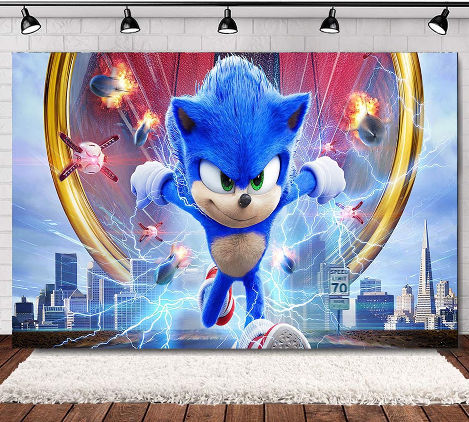 Sonic The Hedgehog Birthday Party Supplies.