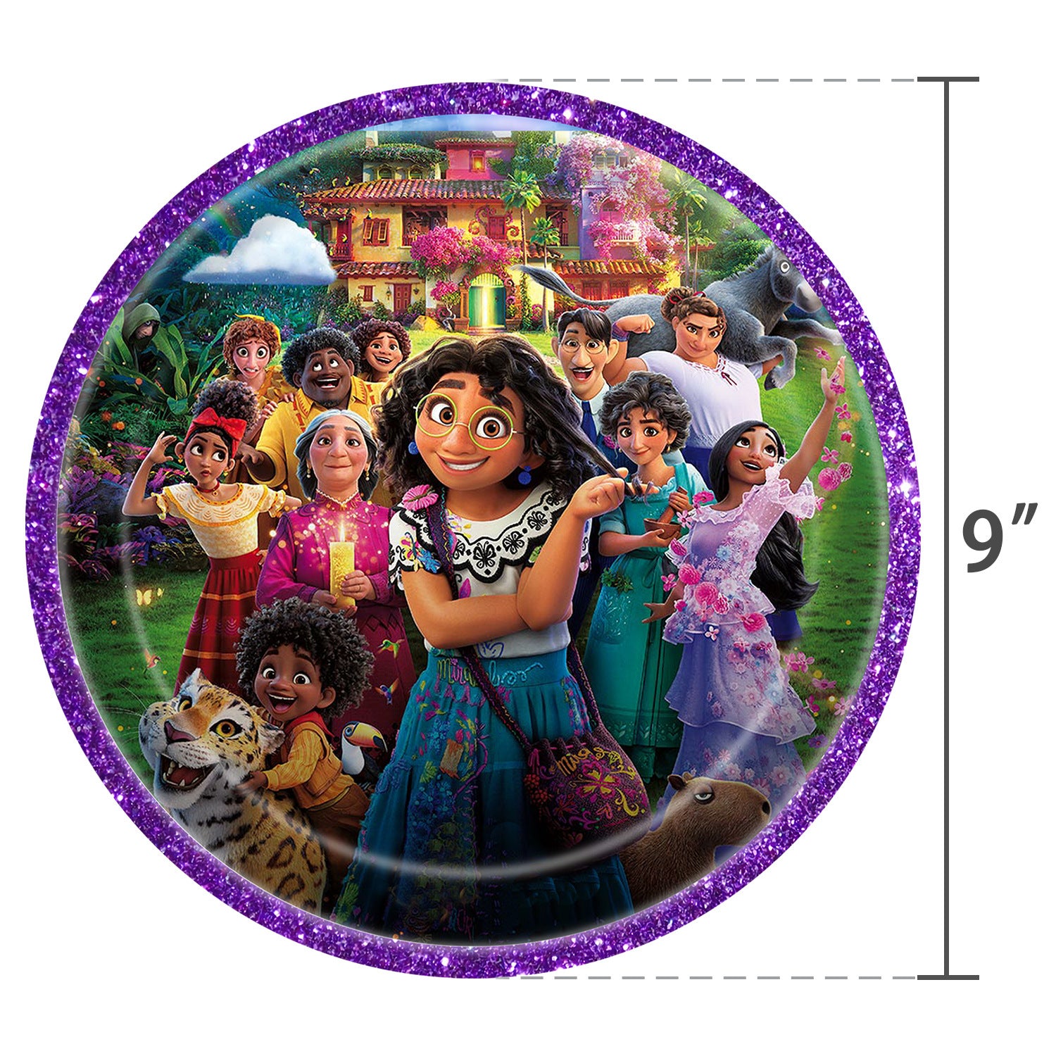 Encanto Family Theme Birthday Party Supplies.