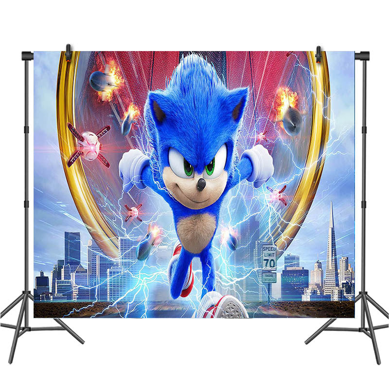 Sonic The Hedgehog Birthday Party Decorations.
