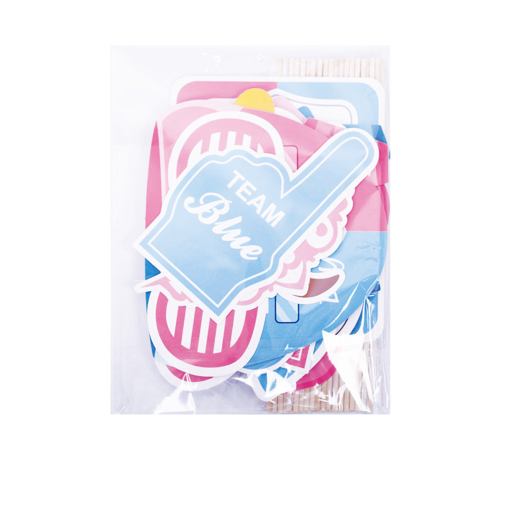 Gender Reveal Party Decorations.